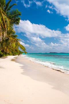 Palm trees fringe a sandy tropical beach alongside turquoise ocean waves on Dhigurah island in Maldives under a cloudy sky.