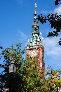 The historic brick clock tower of the Main Town Hall rises above trees against a partly cloudy sky in the old town of Gdansk, Poland.