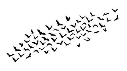 Naklejka premium Halloween Silhouette flying birds flock flying, black simple doodle style flock of birds, realistic outline silhouette wild wild goose bird swarming set isolated on White Background vector