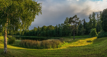 Naklejka premium Sunny summer landscape with lake and birch tree in Priorat Park, Gatchina, Russia.