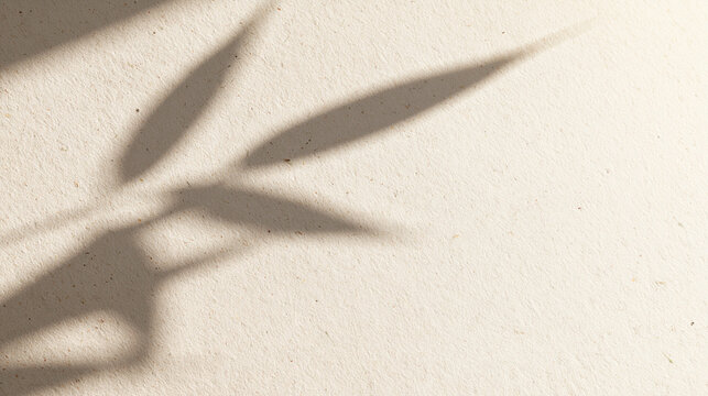 Botanical Leaf Shadow on Neutral Beige Paper Background