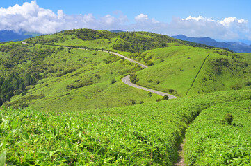Obraz premium 伊豆半島 夏の伊豆山稜線歩道 達磨山の登山道より緑の山地 