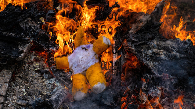 Teddy bear in a bonfire