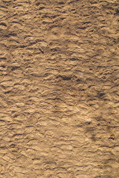 Overhead View of Dry Textured Ground with multiple sheep footprints