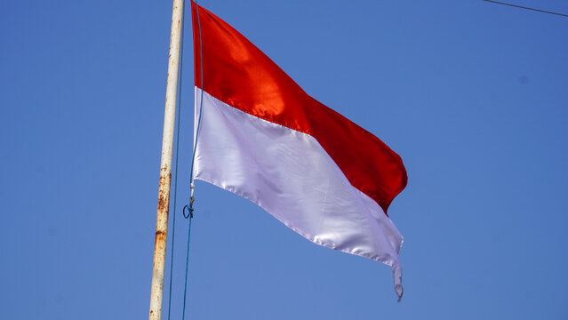 Indonesian national flag waving proudly against a clear blue sky on a pole, celebrating the 81st Independence Day of Indonesia with red and white colors symbolizing courage and purity outdoors.