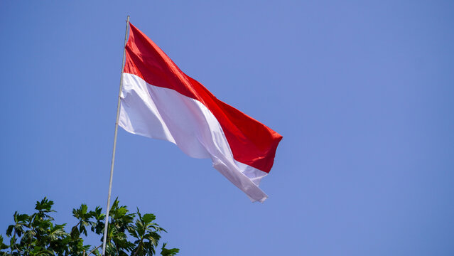 Indonesian flag red and white fluttering high against a bright blue sky for the 81st Independence Day.