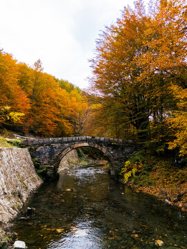 Aerial view of an old stone arch bridge over a clear mountain river surrounded by vibrant autumn foliage