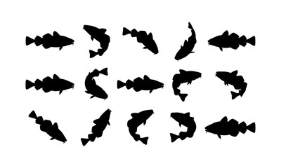 Fototapeta premium Collection of black silhouettes showing various catfish poses and angles