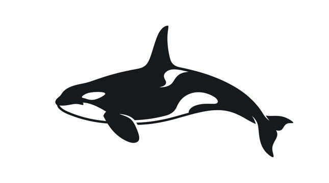 Majestic killer whale illustrated in sleek minimalist style with sharp lines and high contrast color palette