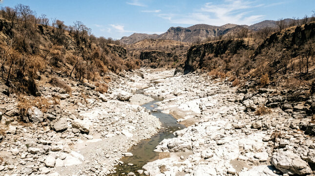 Rocky dry riverbed winding through arid canyon landscape