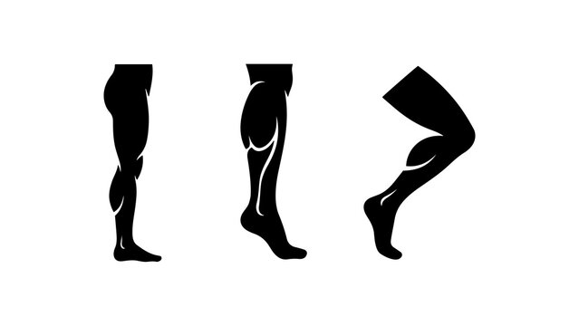 Human Leg Muscles Anatomy and Bodybuilding Poses Icons