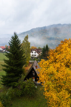 Wooden A-frame cabin surrounded by colorful autumn trees and misty mountain slopes