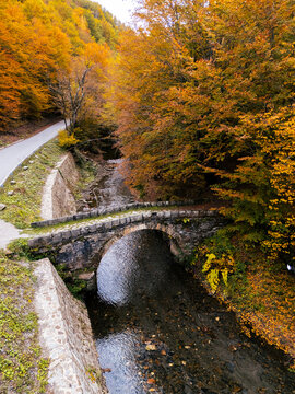 Aerial view of an old stone arch bridge over a clear mountain river surrounded by vibrant autumn foliage