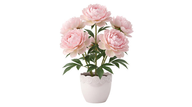 Pink peony flowers in pot set, pastel floral collection, soft rose blooms for decoration, white ceramic planter, isolated on white background, minimalist design, spring garden essence