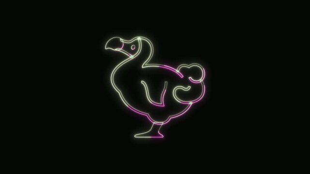  Dodo Animal Icon Neon Seamless Loop 4K with Black Background Animated Promotional Typography for Video Editing