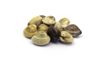 Closed up fresh baby clams. venus shell. shellfish. carpet clams. short necked clams. as raw food from the sea are the seafood ingredients. fresh clams isolated on white background © Pisan