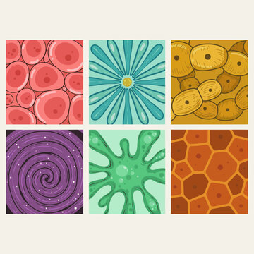 Seamless patterns featuring microscopic cell structures and organic cellular textures in square tiles.