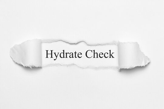 Hydrate Check	
