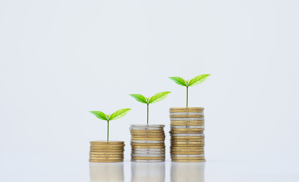 coin stack money saving concept. green leaf plant growth on rows of coin on white background. money matters tips to investment and business financial banking for Financial Wellness.money management.
