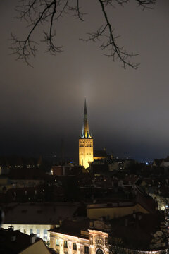 illuminated St. Olaf's Church spire in Tallinn Old Town at night, framed by bare tree branches