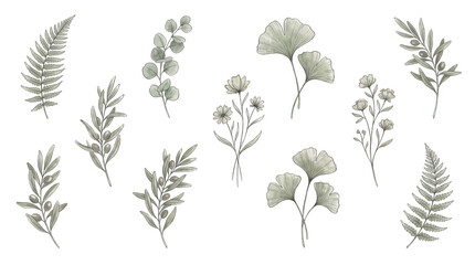 Naklejka premium Set of handdrawn botanical elements isolated on transparent background