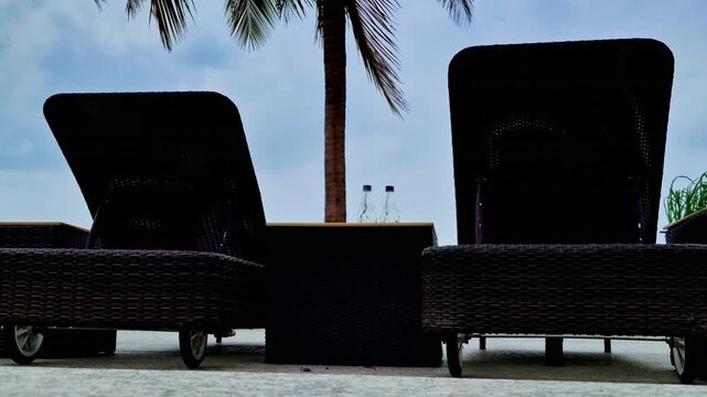 Two woven wicker loungers face a low table with glass water bottles, while a coconut palm rises between them. Wispy greenery borders the terrace beneath a bright sky in Udaipur.