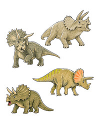 Triceratops Dinosaur Illustration for Education and Kid © sha