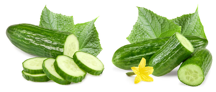cucumber with slices isolated on white background. clipping path