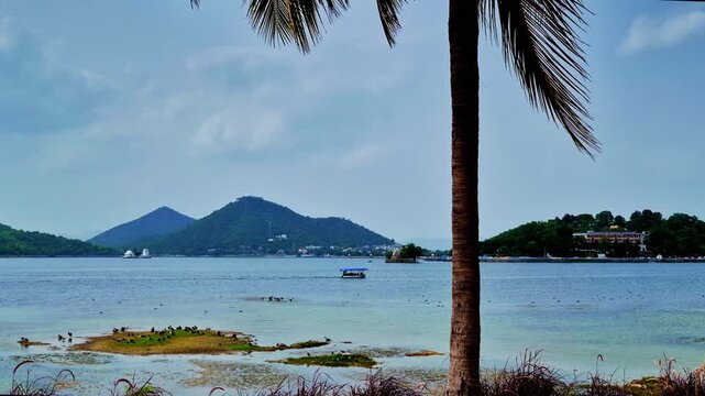 The scenic Fatehsagar lake view features a towering coconut palm, bird-covered islets, and a boat on the water. Lush hills and waterfront buildings extend beneath Udaipur's bright blue sky.