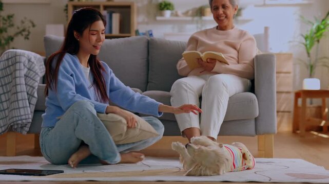 Asian woman senior dog living room home sofa book family pet relaxation young adult playing small dog on carpet while senior woman reading book on sofa cozy warm relaxed indoor domestic scene