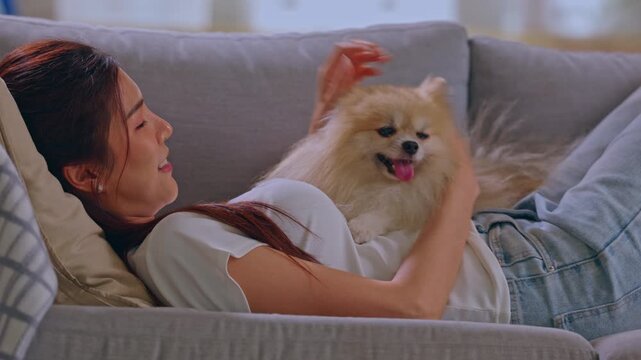 Woman Dog Sofa Pet Home Smile Cuddle Relaxation Indoor Companion Happy Resting With Fluffy Small Dog In Cozy Living Room Gentle Affection Calm Lifestyle Mood