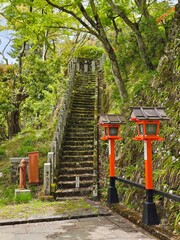 Fototapeta premium Moss covered stone staircase with red shrine lanterns in Kyoto Japan