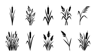 Fototapeta premium Reeds and Cattails Silhouette Vector Set Featuring Marsh Plants and Aquatic Grasses