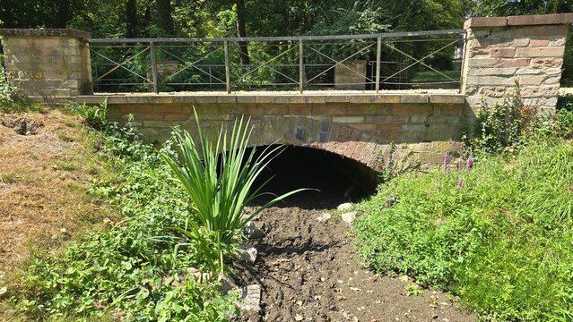 Idyllic nature park with a small lake, wooden bridge, and ducks surrounded by lush greenery.