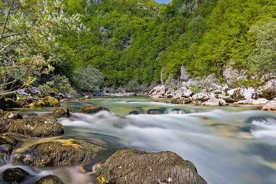 Mrtvica flowing through lush green forest landscape in Mrtvica Canyon