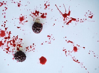 Fresh blackberries with vibrant red juice splashes on a clean white background. © YarStudio