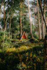 tent in forest © Ismail
