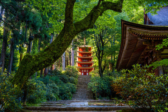 新緑と五重塔・日本の神社仏閣