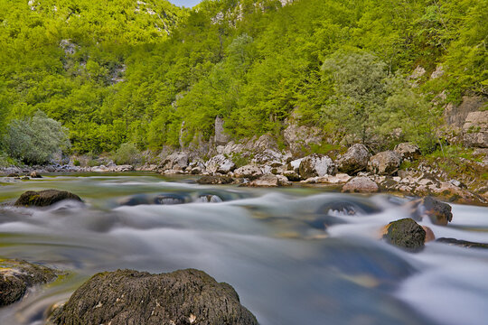 Mrtvica flowing through lush green forest landscape in Mrtvica Canyon