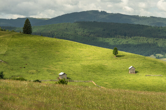 Bucovina Countryside with Green Hills and Shepherd Hut in Romania