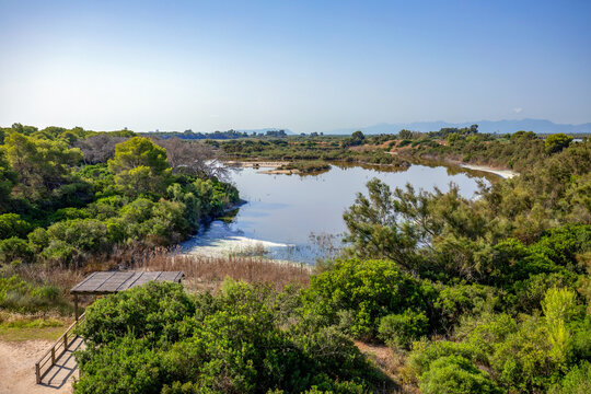 A lagoon with birds at Raco de l'Olla, Albufera Natural Park, Valencia, Spain