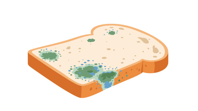 Sliced white toast bread covered with unhealthy green mold spots representing spoiled expired food on a white background.