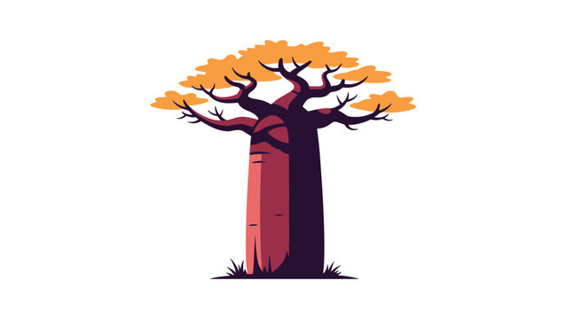 Iconic african baobab tree with massive trunk and beautiful autumn orange leaves isolated on white background.