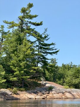 Weathered pink Granite, windswept pines and calm waters in the Massasauga Provincial Park near Parry Sound Ontario Canada