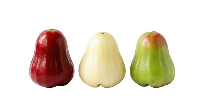 Three fresh wax apples in red, white, and green isolated on transparent background