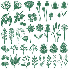 Naklejka premium Vintage Botanical Plant Illustration Collection With Hand Drawn Flowers Leaves and Garden Foliage Elements