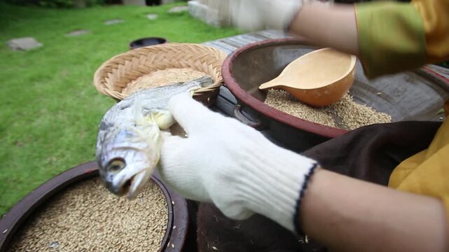 Korea barley dried yellow croaker bori gulbi earthenware crock pot seafood ingredient 생선 전통 보리굴비 굴비 항아리 옹기 보리 쌀 보관 숙성 건어물 수산물 한식 식재료