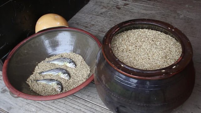 Korea barley dried yellow croaker bori gulbi earthenware crock pot seafood ingredient 생선 전통 보리굴비 굴비 항아리 옹기 보리 쌀 보관 숙성 건어물 수산물 한식 식재료