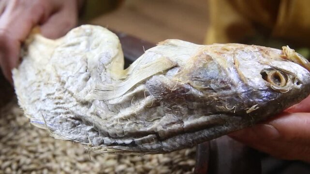 Korea barley dried yellow croaker bori gulbi earthenware crock pot seafood ingredient 생선 전통 보리굴비 굴비 항아리 옹기 보리 쌀 보관 숙성 건어물 수산물 한식 식재료