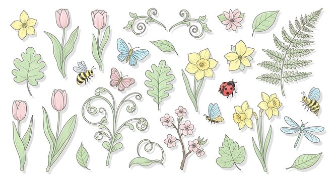 Hand drawn spring botanical elements with flowers and insects